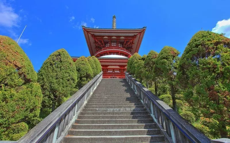 千葉県ご当地ラーメンガイド：東京湾が育んだ5つの個性的な地域の味を徹底解説