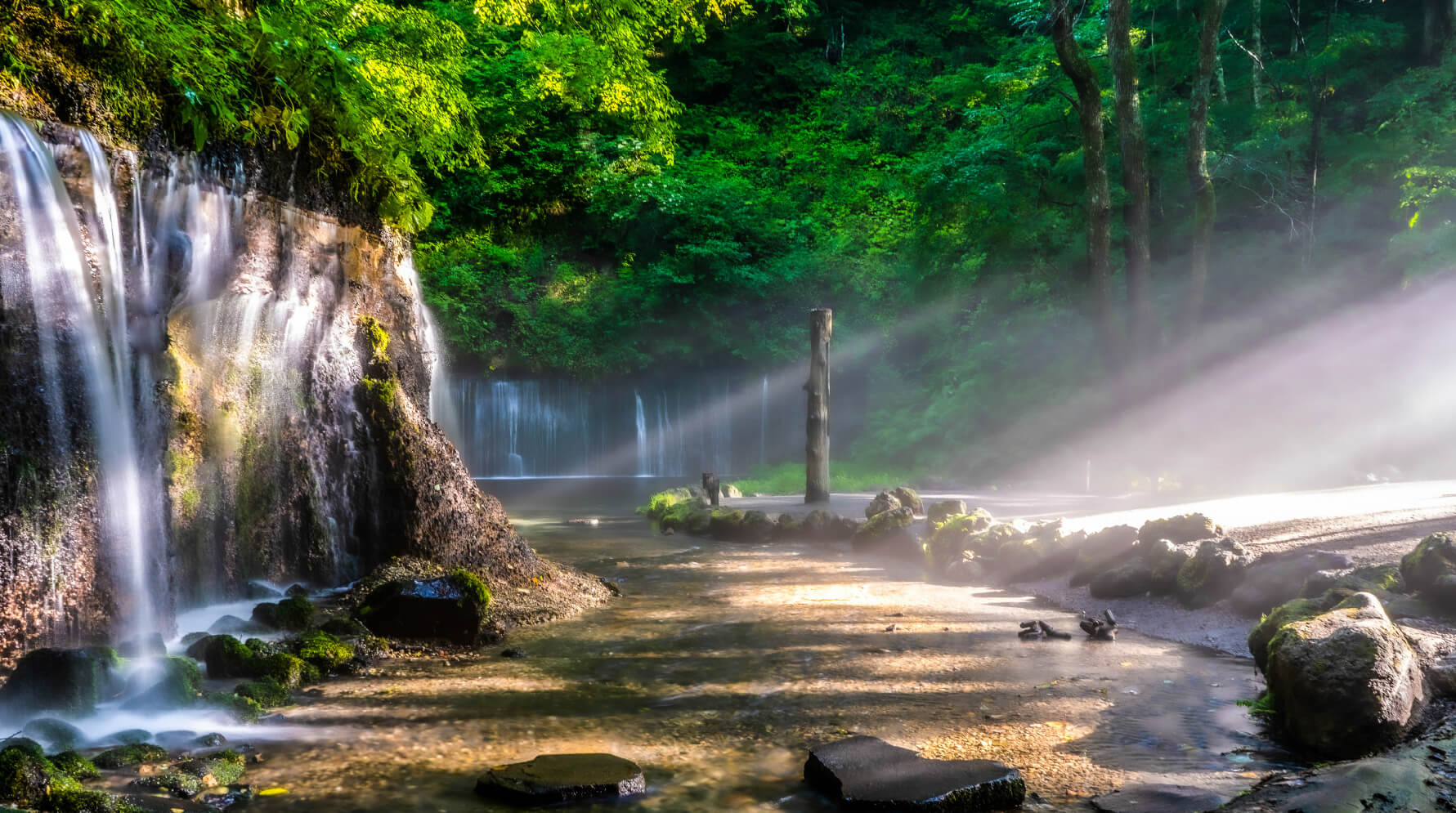 長野県ご当地ラーメンガイド：信州みそ・王様中華そば・安養寺ら～めん徹底解説