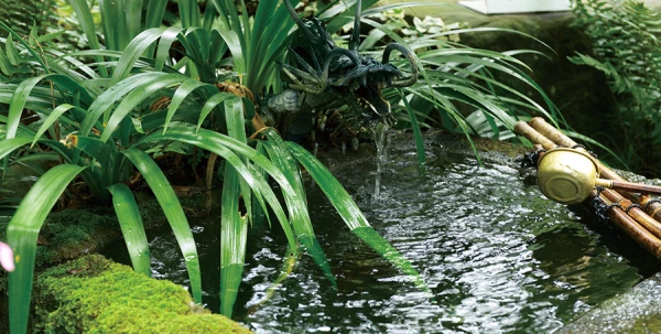山梨は名水の宝庫